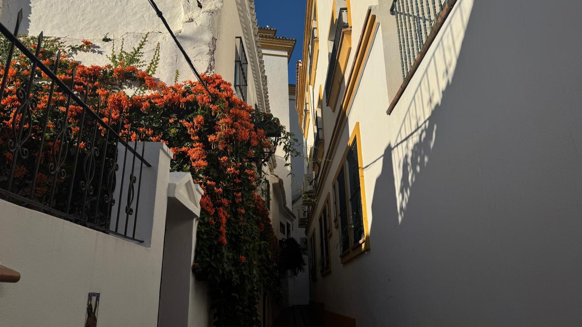 Oasis Jacuzzi Retreat Apartamento Marbella Exterior foto